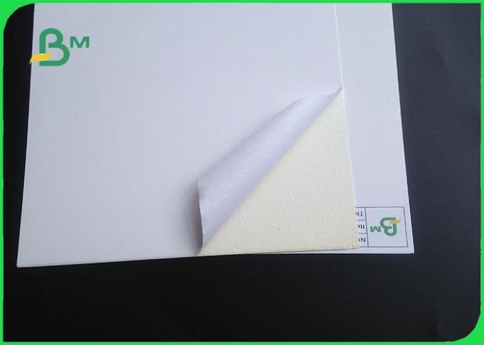 ورقة مجلس العاج