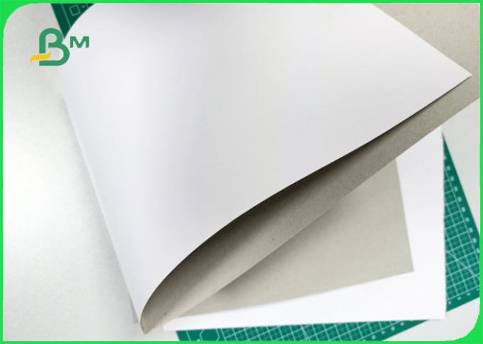 200gsm - 800gsm excellent toughness ink absorbability Duplex board in sheet / roll