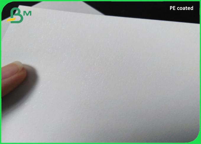 100% biodegradable PLA Coated paper cup base Paper 210g + 26g 