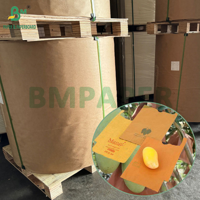 54g 56g ورق كيس غطاء غطاء واحد أو مزدوج الطبقة منغو ثمرة النمو