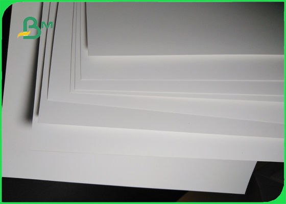 200um من الورق الصناعي المطلي بالراتنج القابل للطباعة للتغليف والتوسيم