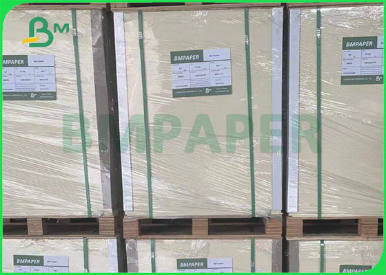 235gsm 250gsm GC1 لوح طعام لصندوق القهوة 650mm * 900mm السائبة