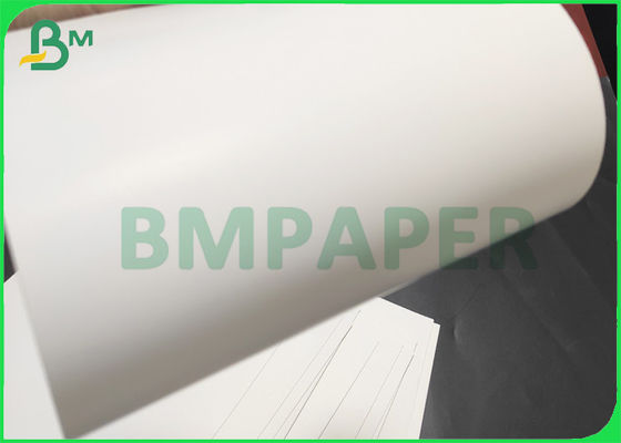 لوحة بيضاء كبيرة قابلة للطي الخلفية GC1 295gsm لتغليف المواد الغذائية