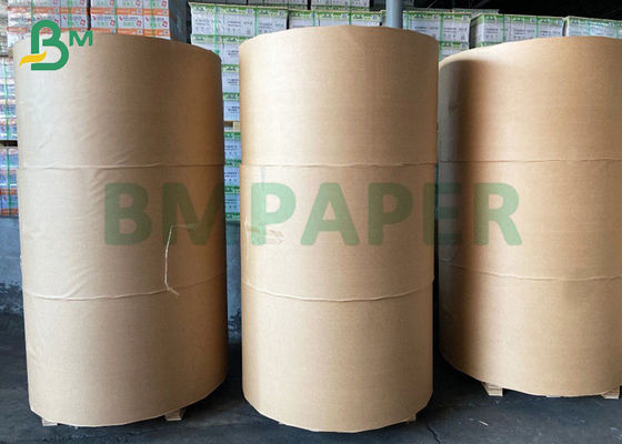 ورقة واحدة مغلفة بـ PE Cupstock GSM 220g 260g Rolls 910mm Width