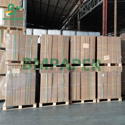 كاد سجلات طابعة جانب واحد الورق الأزرق A1 الحجم 24" X 50m 2' قلب