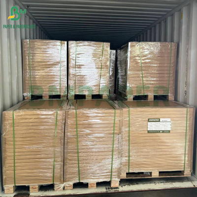 مضاد للشحوم إطلاق جيد 38 غرام كوب الورق البيضاء الملونة 3