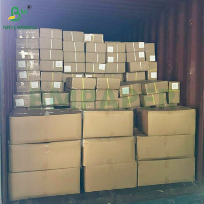 ورق محاكاة ملون أزرق من جانب واحد غير مغلف بالدبوس للرسومات CAD