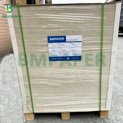 350 غرام CKB صفراء السطح البني ورق الكرافت خلفية لصناديق السلطة 25' x 38'
