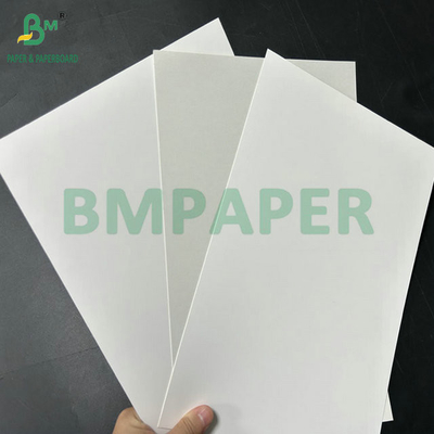 البياض العالي 98% 325gr 360gr الورق المعدل للغذاء Fbb للكعكة صندوق حزمة 70 x 100cm