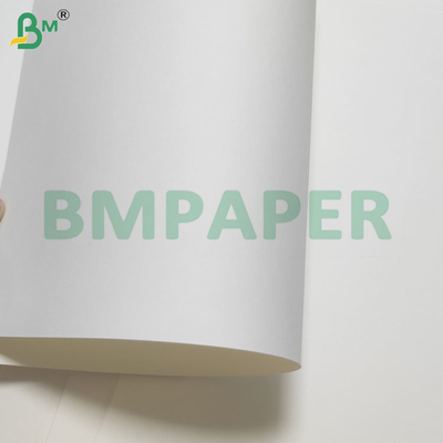 135-350 GSM ورق مضاد للماء مزدوج الحجم PE مغلف بالكأس والكأس