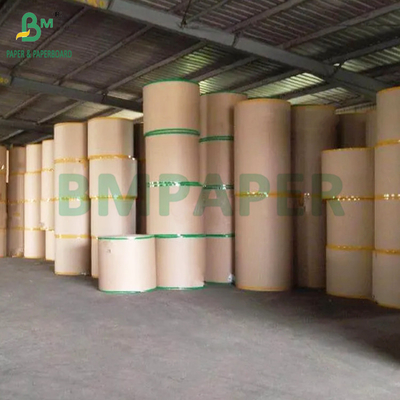 الجودة الغذائية كرافت 320gsm + 20g الورق المقوى PE للكأس القهوة الكميات الكبيرة 900mm