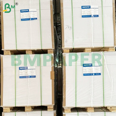 260 GSM أوراق الورق المجمد المقاومة للرطوبة المقاومة للطعام