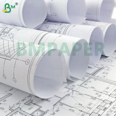 ورقة BMPAPER ذات شكل واسع 24 "× 500"