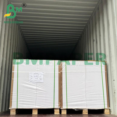 250 غرام 65 سم x 92 سم صلابة جيدة ورق فني لامع للكتيب