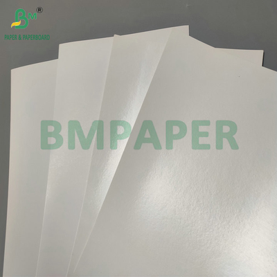 المقاومة للماء واحد PE مغلفة 190gsm 210gsm Cupstock لصنع أكواب الورق الساخنة والباردة