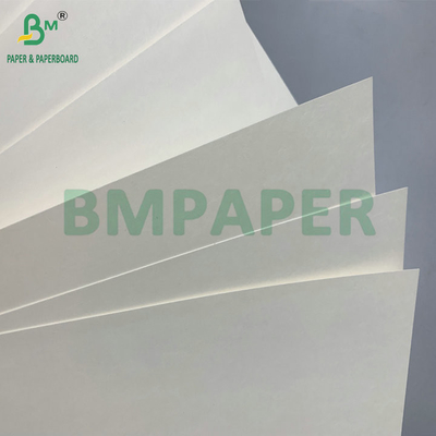 المقاومة للماء واحد PE مغلفة 190gsm 210gsm Cupstock لصنع أكواب الورق الساخنة والباردة