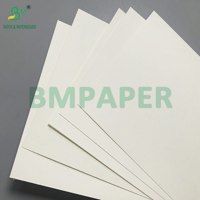 طلاء PE من جانب واحد 18gsm 190gsm 210gsm مواد كؤوس الورق للكؤوس القهوة