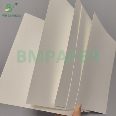 190 / 240gsm18PE طعام مغلفة متطاطية ورق كوب أبيض