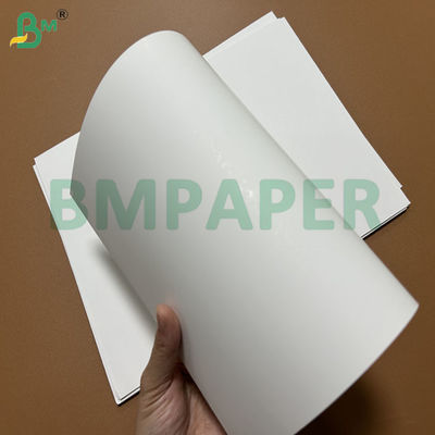250gsm 300gsm Coated 1 Side White Blister Ivory Board For Blister Package 70cm Reel
