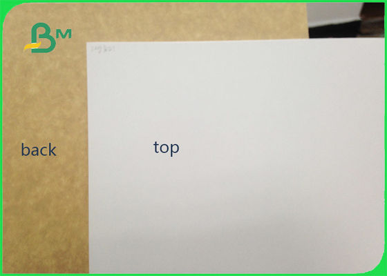 450gsm FSC معتمد كلاي المغلفة كرافت العودة الغذاء الصف ورقة لفة / بطانة بيضاء للتغليف