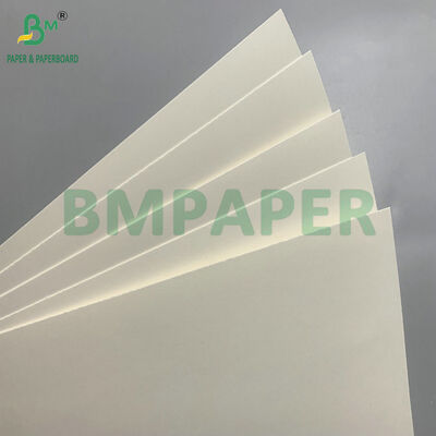 Biodegradable & Microwave Safe Paperboard For Making Disposable Bowls For Salad