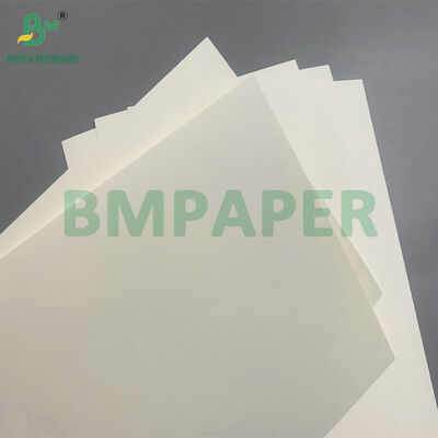 Biodegradable & Microwave Safe Paperboard For Making Disposable Bowls For Salad