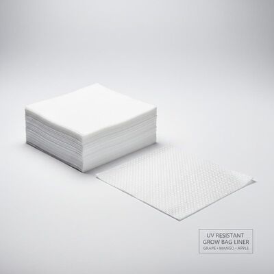 المقاومة للأشعة فوق البنفسجية العنب المانجو التفاح تنمو الورق الكيس الطبقة الداخلية الغطاء