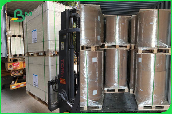 FSC FDA 300gsm العاج جانب واحد المغلفة لوحة بيضاء PE GC1 ورقة ورقة السلطانية