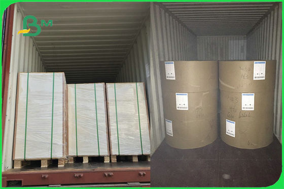 FSC FDA الأبيض الغذاء الآمن FBB مجلس 15G PE الورق المطلي لكوب صنع مخصص