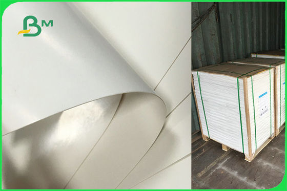 تخصيص جانب واحد ورقة المغلفة PE لوحات القابل للتصرف FSC FDA المعتمدة