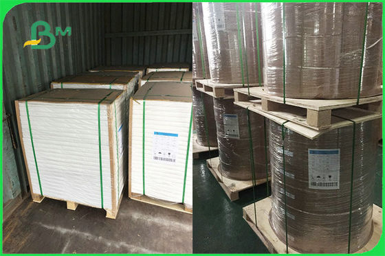 تخصيص جانب واحد ورقة المغلفة PE لوحات القابل للتصرف FSC FDA المعتمدة