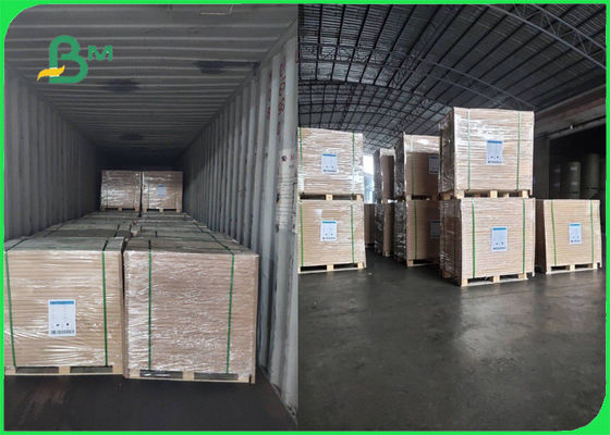 وافق FSC 70g 80g White Woodfree Paper Roll للكتيب على نحو سلس