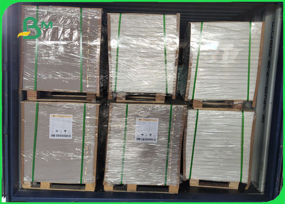 مقاوم للماء من الورق المقوى الأخضر العلوي الرمادي الخلفي بحجم 1.2 مم