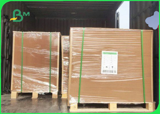 مقاوم للماء جانب واحد 350GSM + 18G ورق الكرافت المطلي PE لتغليف المواد الغذائية