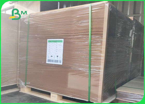 300gsm للتحلل الحيوي + 15g PE فيلم لوح كرافت لتغليف المواد الغذائية