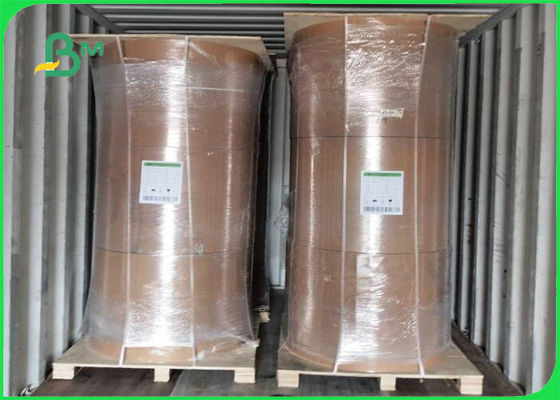 300gsm للتحلل الحيوي + 15g PE فيلم لوح كرافت لتغليف المواد الغذائية