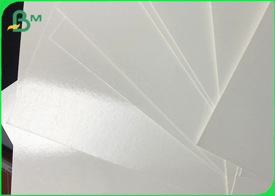 لفة ورق مغلفة شحوم PE مغلفة لأكواب المشروبات الساخنة