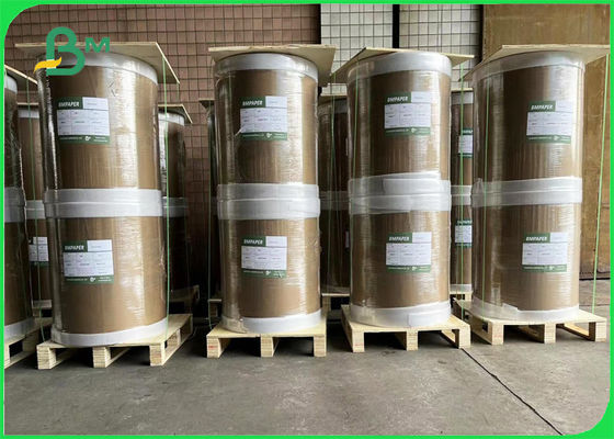 حاوية طعام بيضاء فائقة السائبة من الورق المقوى مغلفة بجانب واحد 215gsm