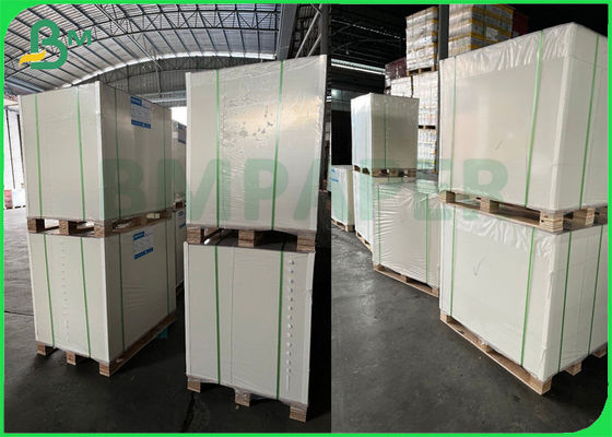 C1S White Cardstock Paper 325gsm 350gsm لتغليف المواد الغذائية المجمدة