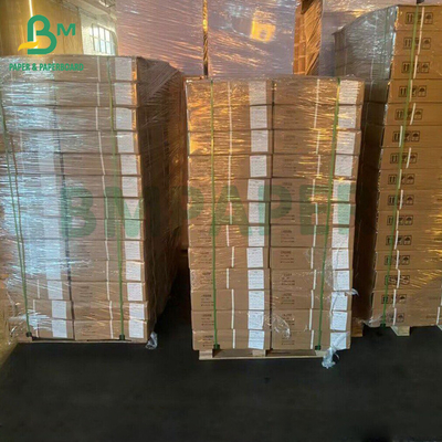 A3 A4 الطباعة الحبر الصورة استوديو صورة خلفية خلفية الورق