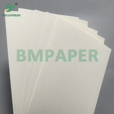 الأوراق الورقية الآمنة للتحلل البيولوجي والمايكروويف لصنع أطباق السلطة المستخدمة مرة واحدة