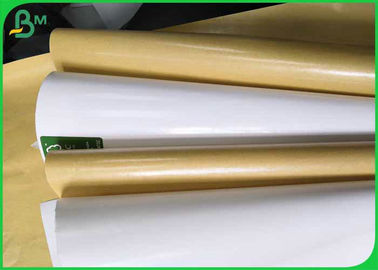 FDA Safe 80gsm + 10gsm ورق أبيض أو بني مطلي بـ PE لتعبئة المواد الغذائية