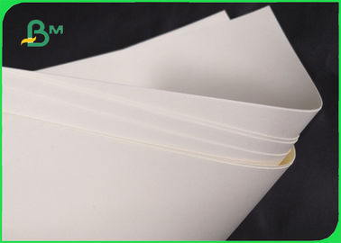 قابل للتحلل 190gsm 210gsm Cupstock قاعدة ورقة لوعاء الطعام 720MM 860MM
