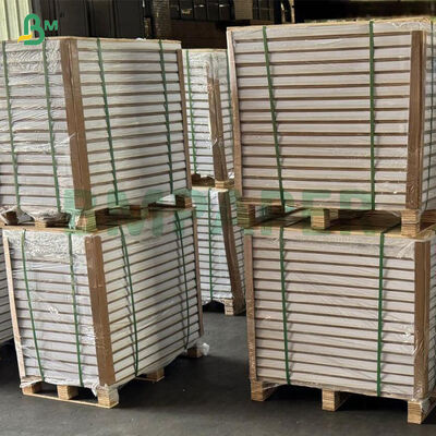 300 310 320غرامات صلابة عالية C2S صلابة لامعة الأريكة