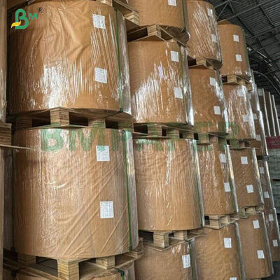 ورق السيليكون المقاوم للدهون للطبخ