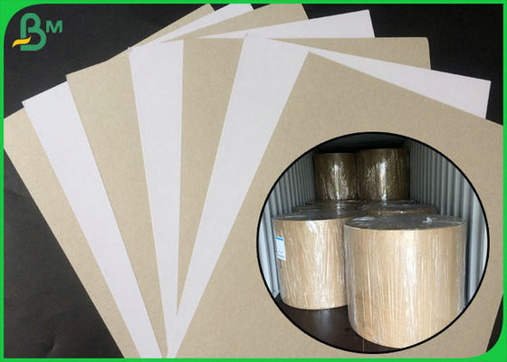 FSC مصدق الجانب المزدوج المغلفة المجلس الأبيض مع عودة رمادي في التعبئة لفة كبيرة