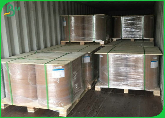 300GSM FSC SGS بكرة ورق أبيض لامع مع مادة لب طبيعية 100٪