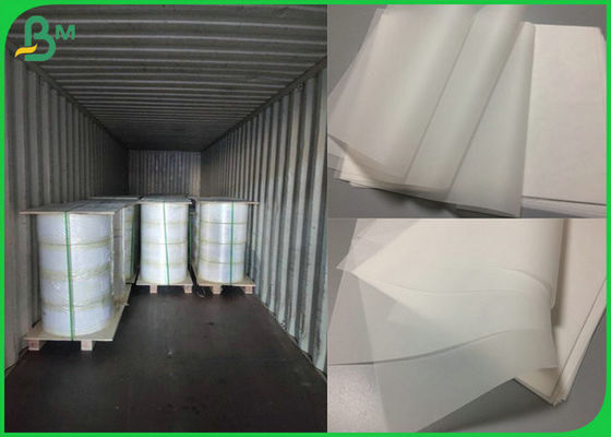 امتصاص الحبر الجيد ورقة تتبع بكرة 50gr 55gr مع شهادة FSC المدعومة