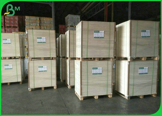 90 ٪ 800 مم 900 مم بياض 190 جم 210 جم 250 جم لوح عاجي للطعام لصندوق الطعام