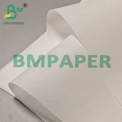 30-50g Smooth Single Sided Glazed Kraft Paper for Packaging Bags 762mm